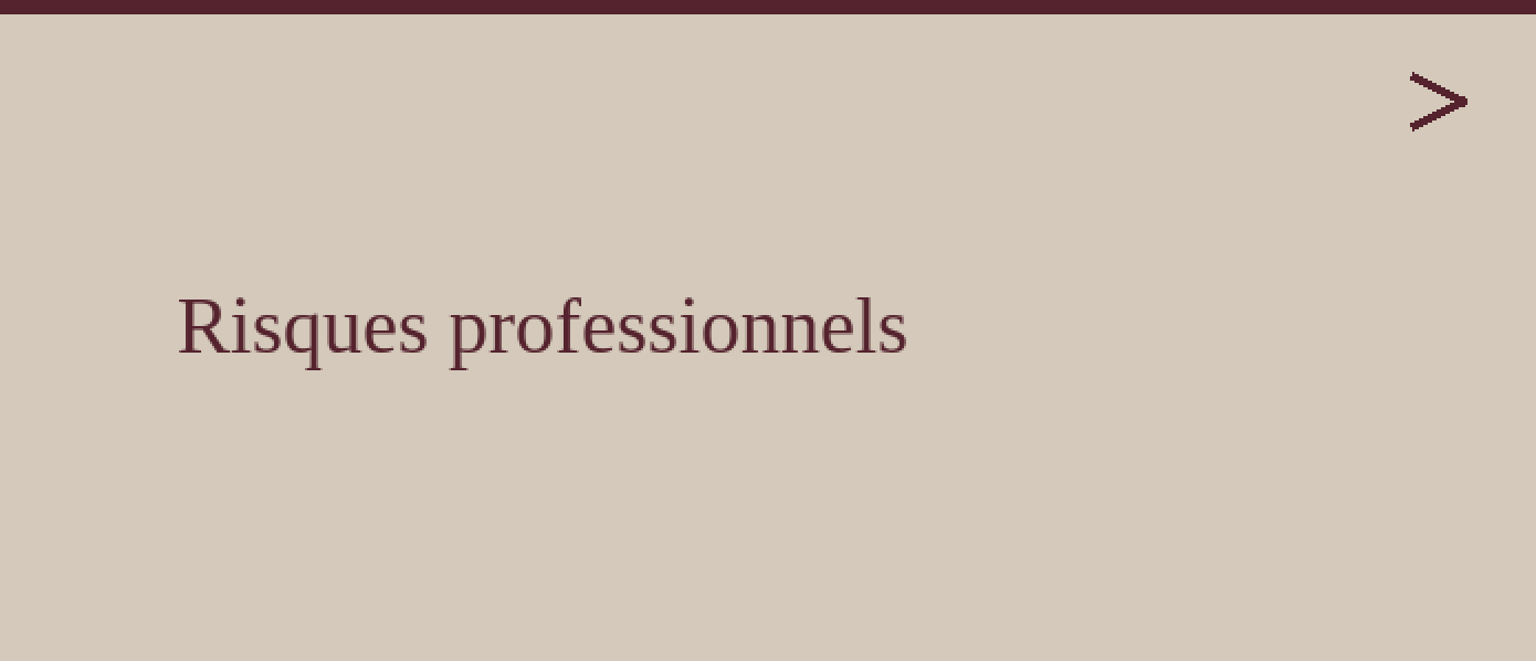 Gestion des risques professionnels